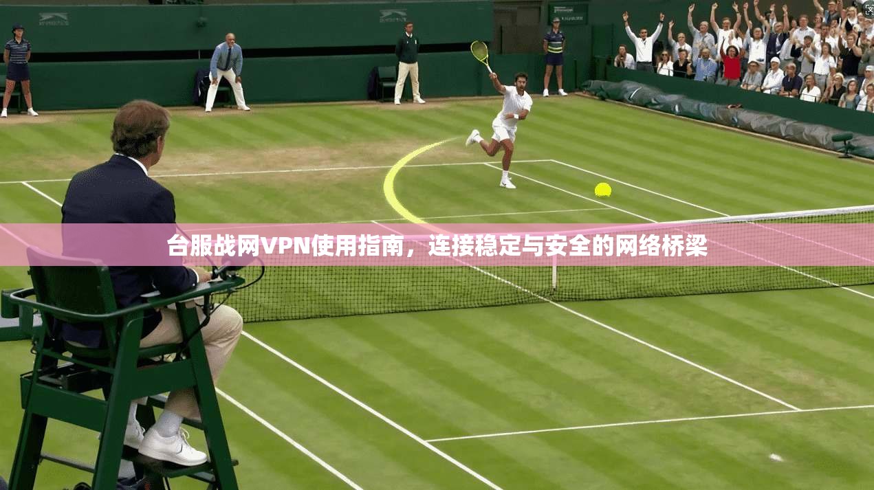 台服战网VPN使用指南,连接稳定与安全的网络桥梁