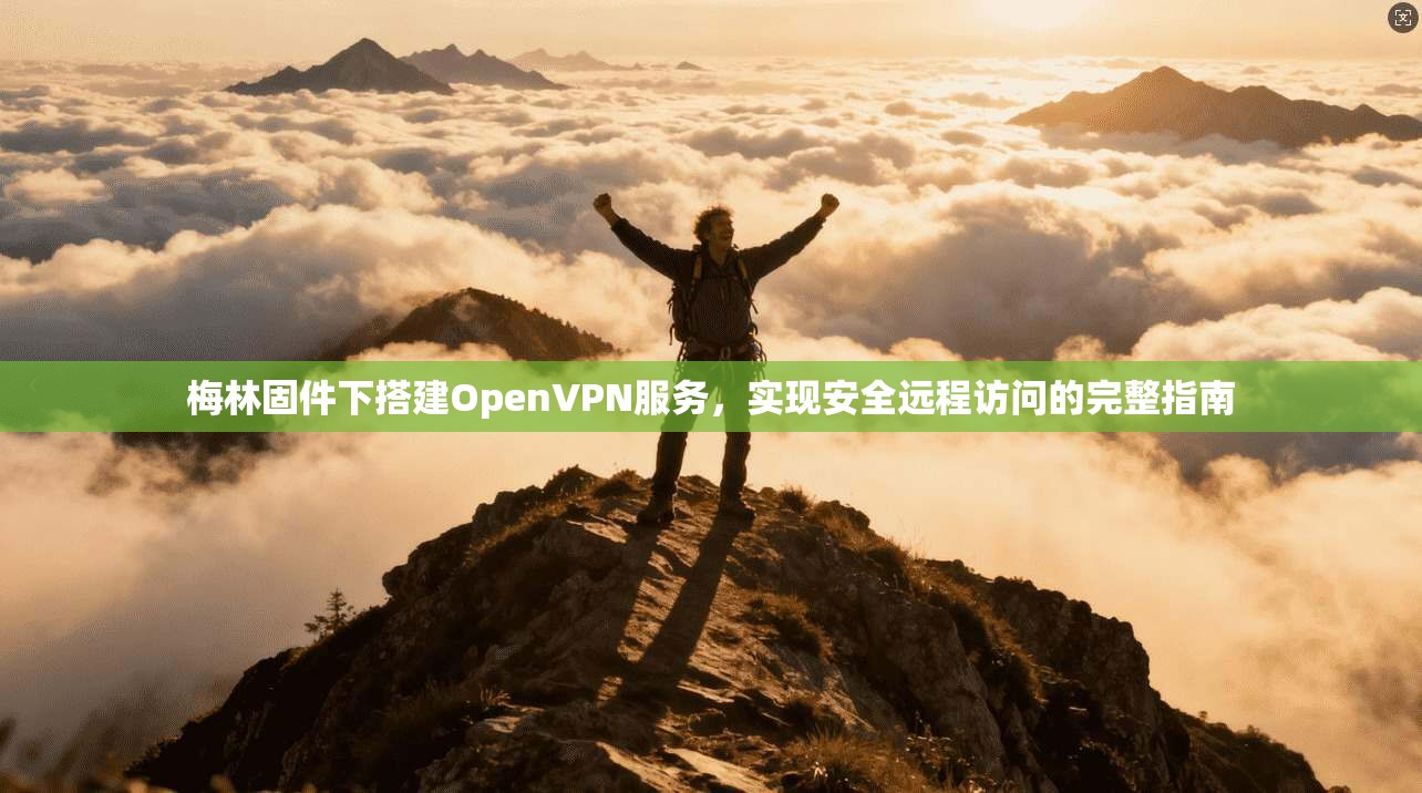 梅林固件下搭建OpenVPN服务,实现安全远程访问的完整指南