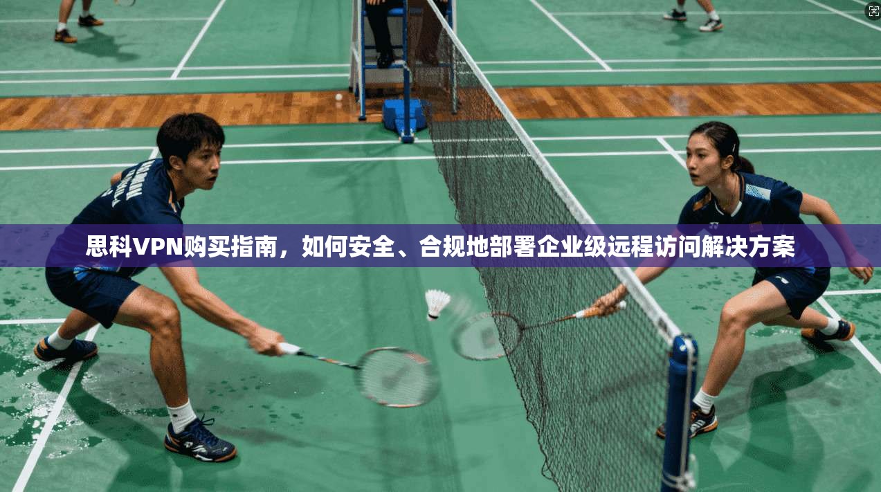 思科VPN购买指南，如何安全、合规地部署企业级远程访问解决方案
