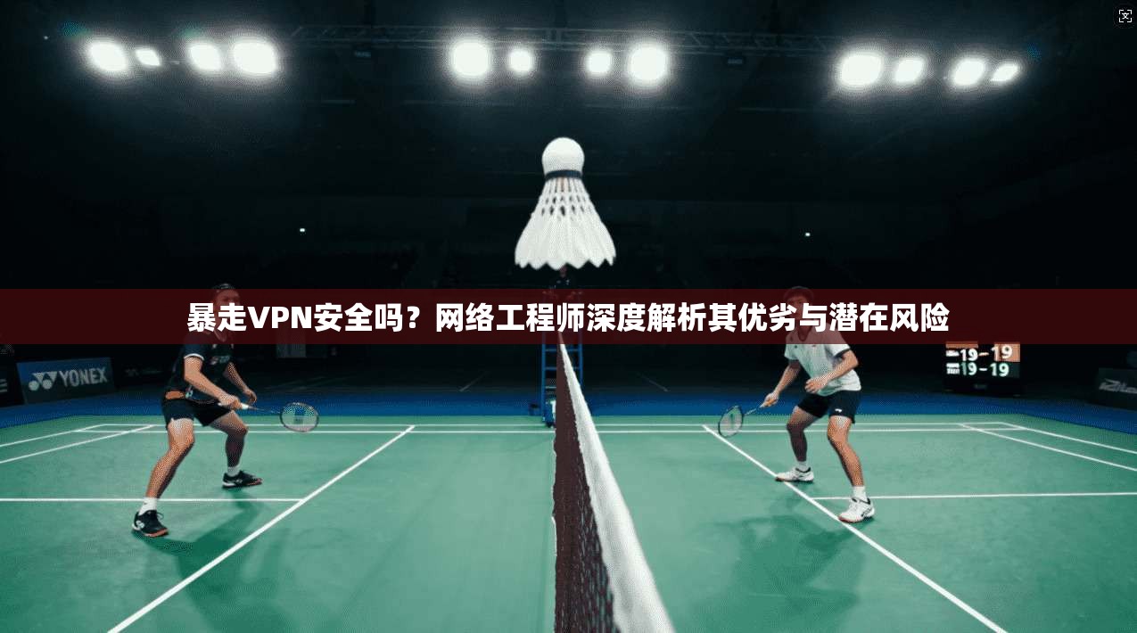 暴走VPN安全吗?网络工程师深度解析其优劣与潜在风险