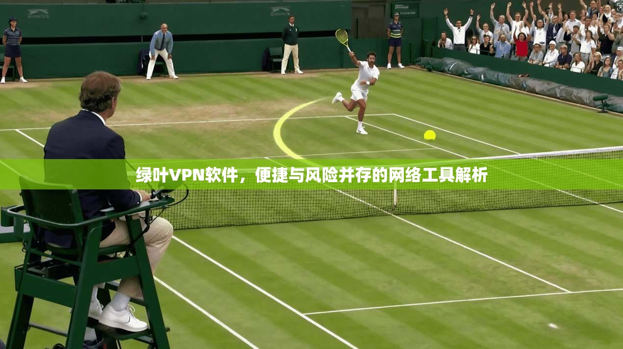 绿叶VPN软件,便捷与风险并存的网络工具解析