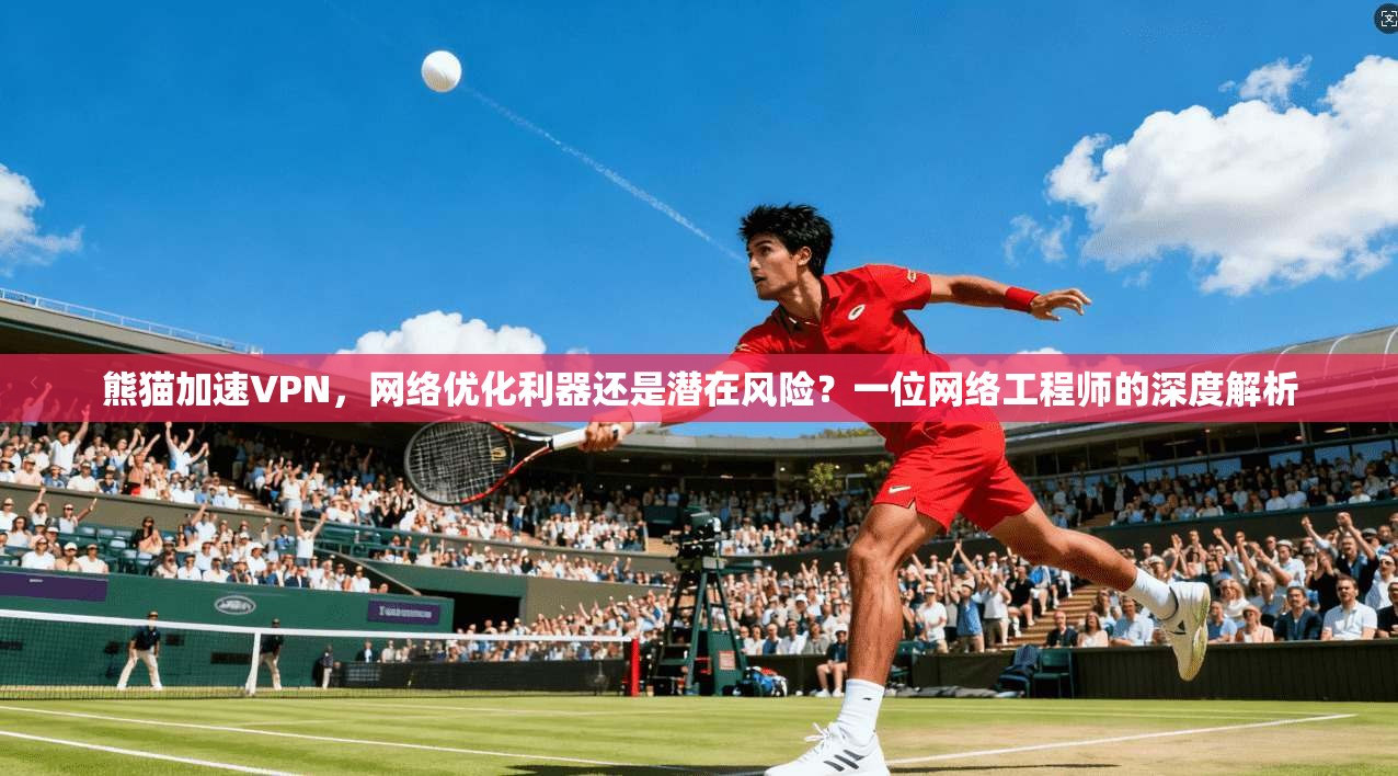 熊猫加速VPN，网络优化利器还是潜在风险？一位网络工程师的深度解析