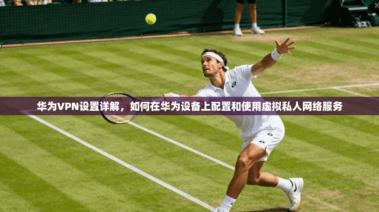 华为VPN设置详解,如何在华为设备上配置和使用虚拟私人网络服务