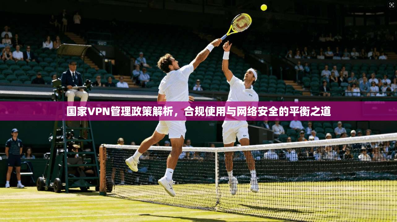 国家VPN管理政策解析，合规使用与网络安全的平衡之道