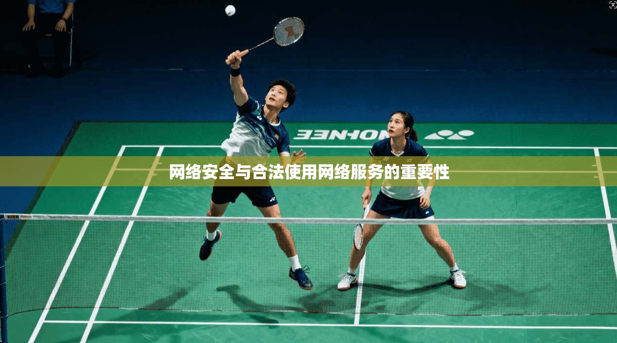 网络安全与合法使用网络服务的重要性