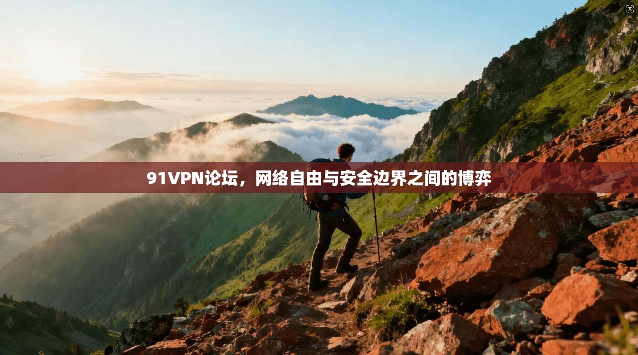 91VPN论坛,网络自由与安全边界之间的博弈