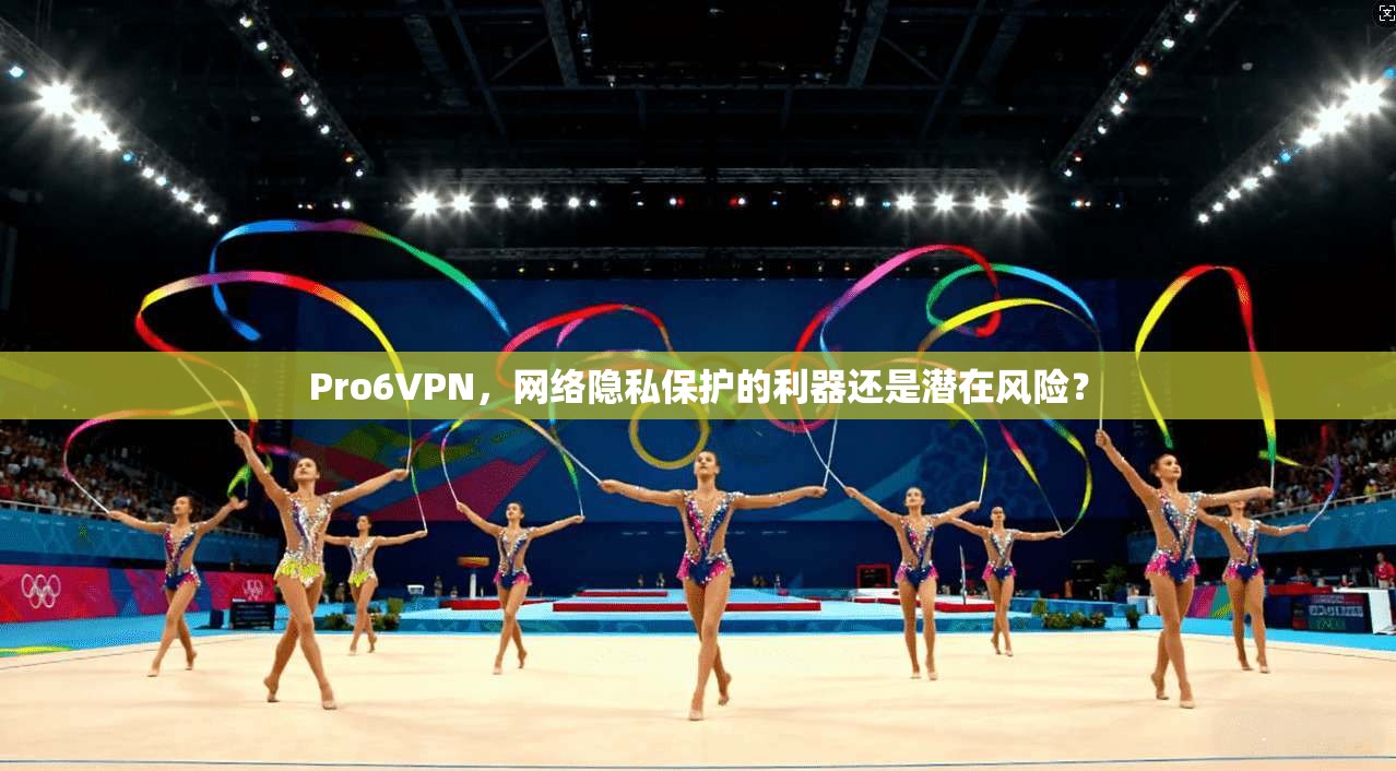 Pro6VPN，网络隐私保护的利器还是潜在风险？