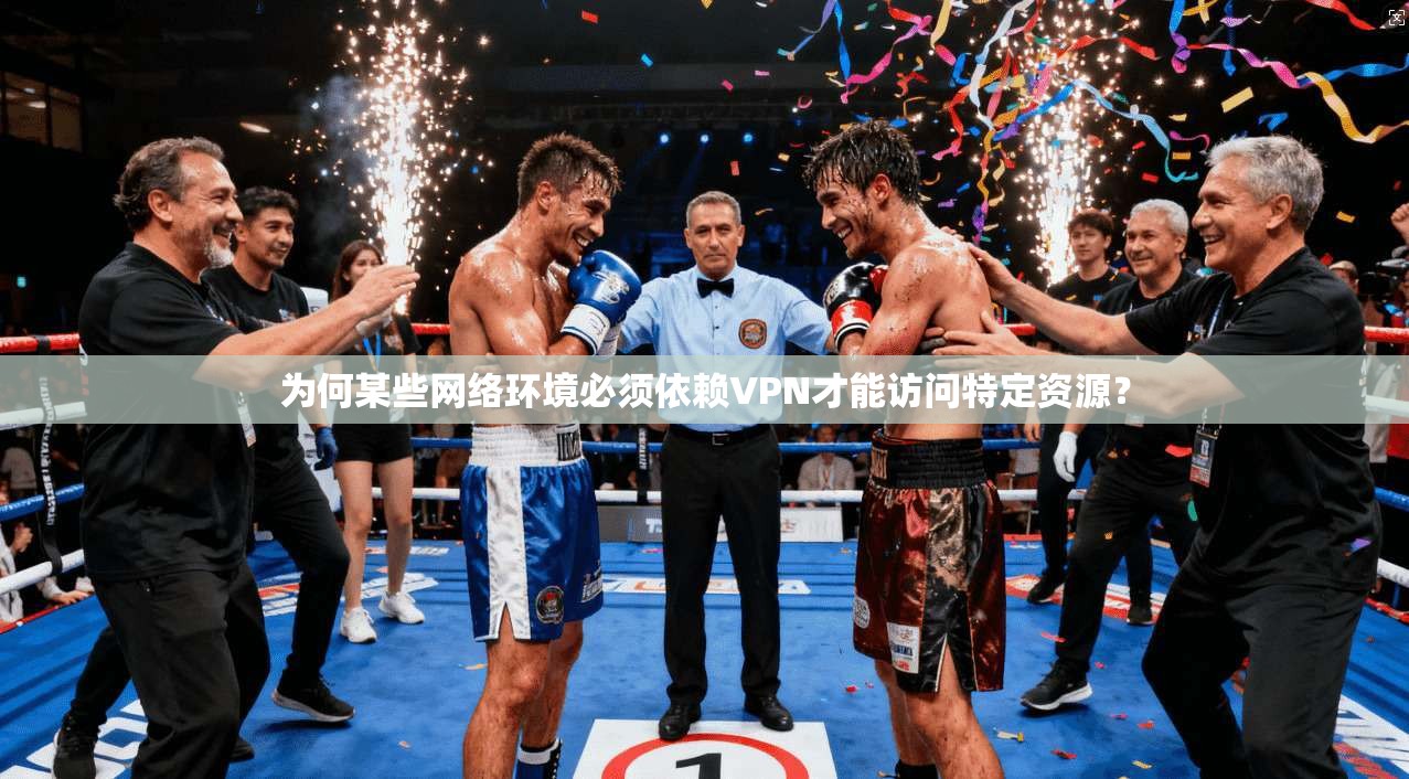 为何某些网络环境必须依赖VPN才能访问特定资源？