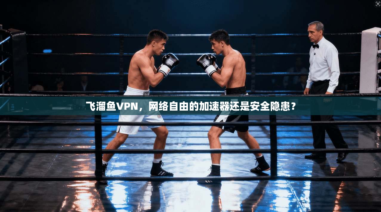 飞溜鱼VPN，网络自由的加速器还是安全隐患？