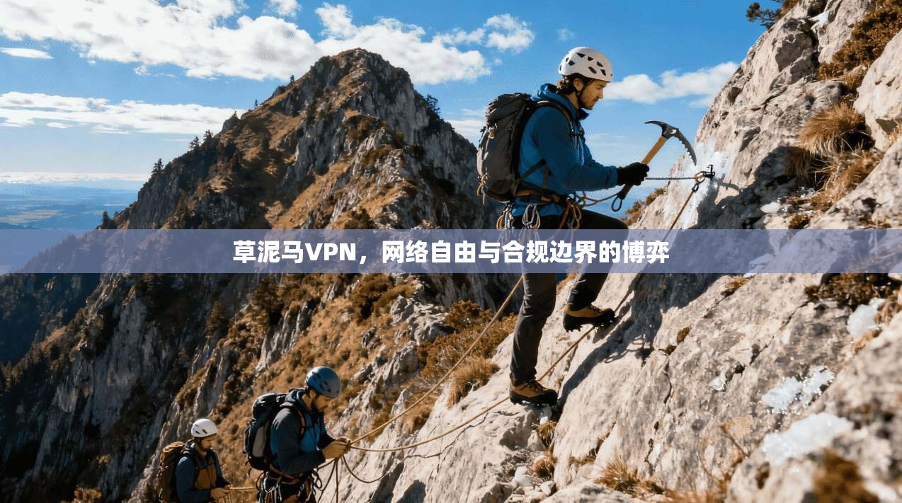 草泥马VPN,网络自由与合规边界的博弈