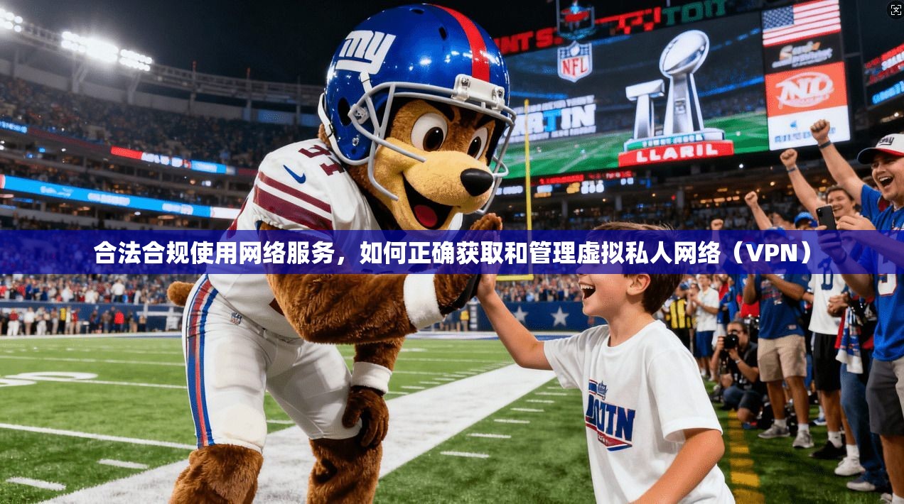 合法合规使用网络服务，如何正确获取和管理虚拟私人网络（VPN）