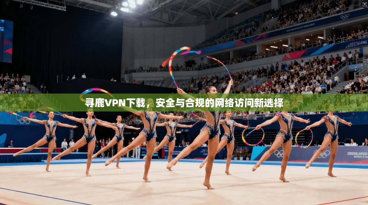 寻鹿VPN下载，安全与合规的网络访问新选择