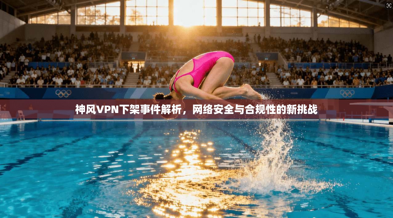 神风VPN下架事件解析,网络安全与合规性的新挑战