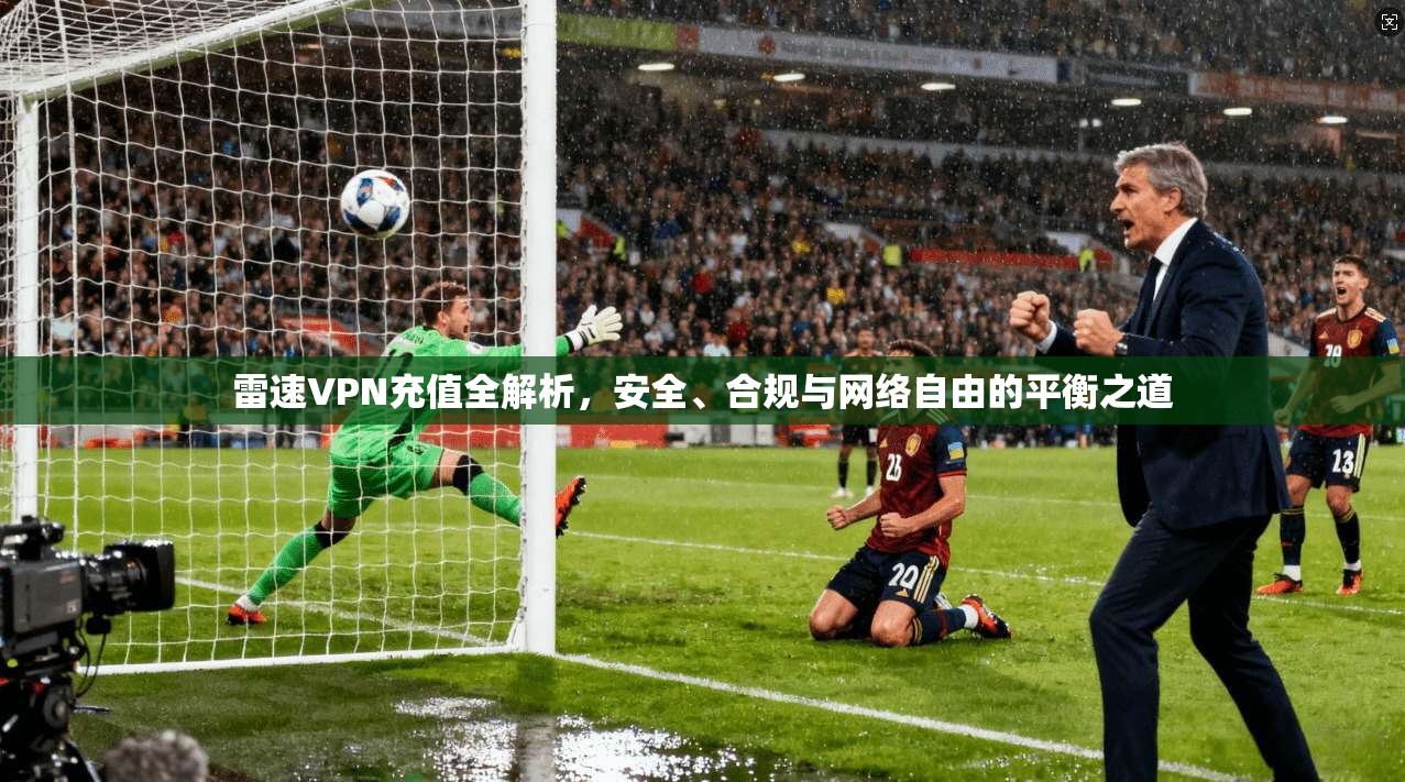 雷速VPN充值全解析，安全、合规与网络自由的平衡之道