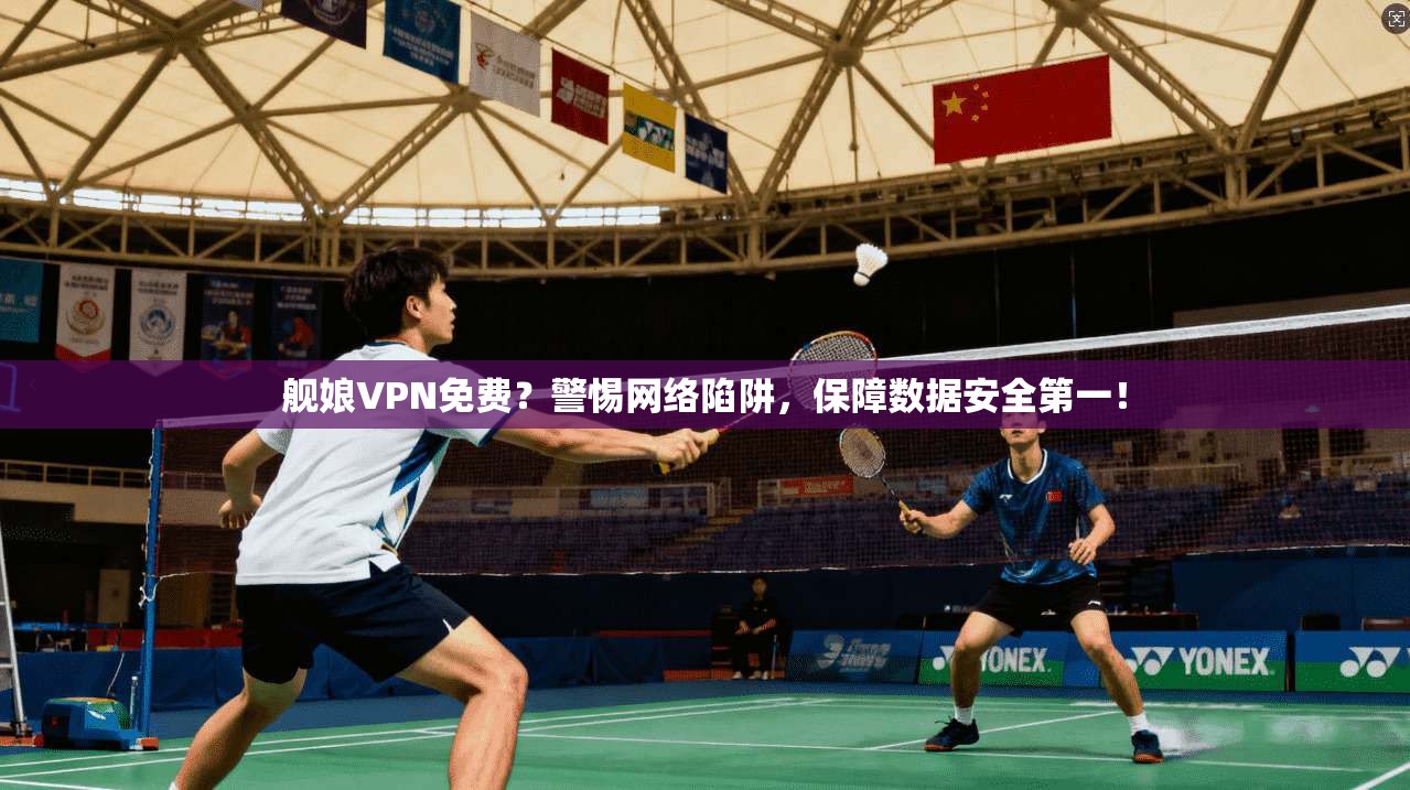 舰娘VPN免费？警惕网络陷阱，保障数据安全第一！