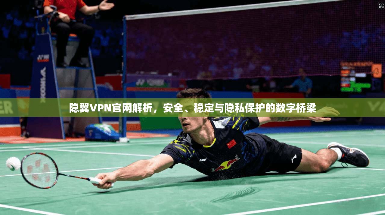 隐翼VPN官网解析,安全、稳定与隐私保护的数字桥梁
