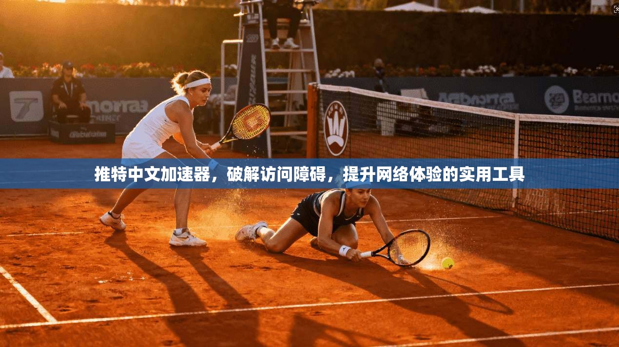 推特中文加速器，破解访问障碍，提升网络体验的实用工具