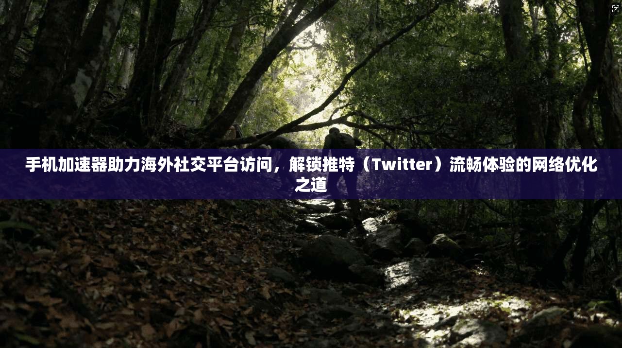 手机加速器助力海外社交平台访问，解锁推特（Twitter）流畅体验的网络优化之道