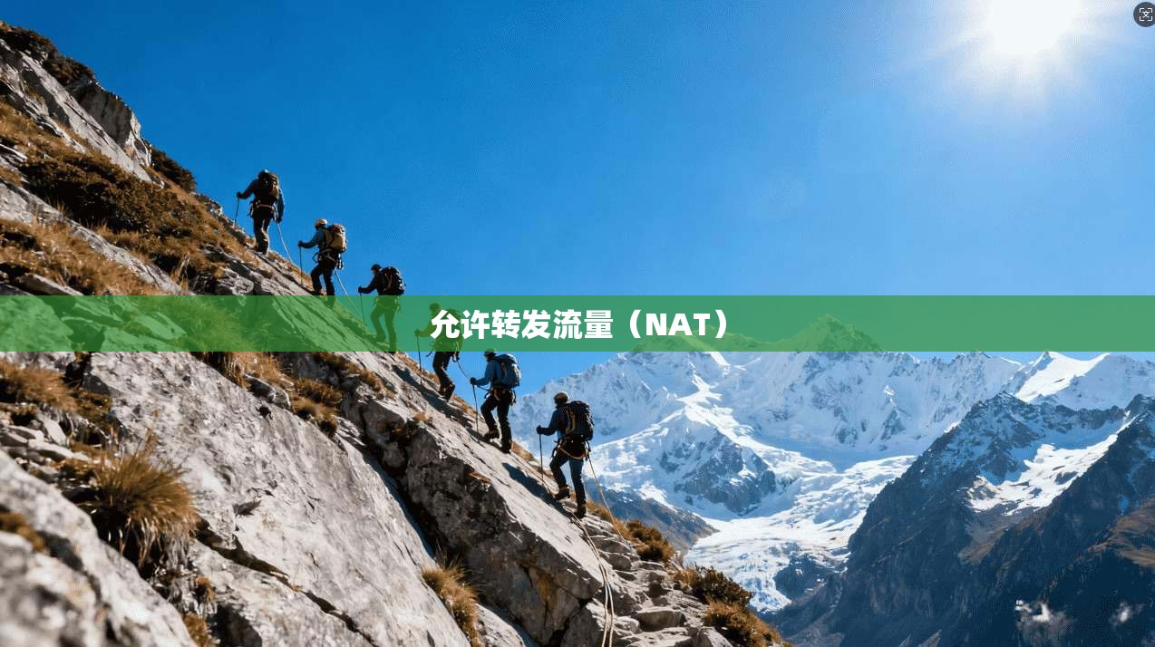 允许转发流量（NAT）