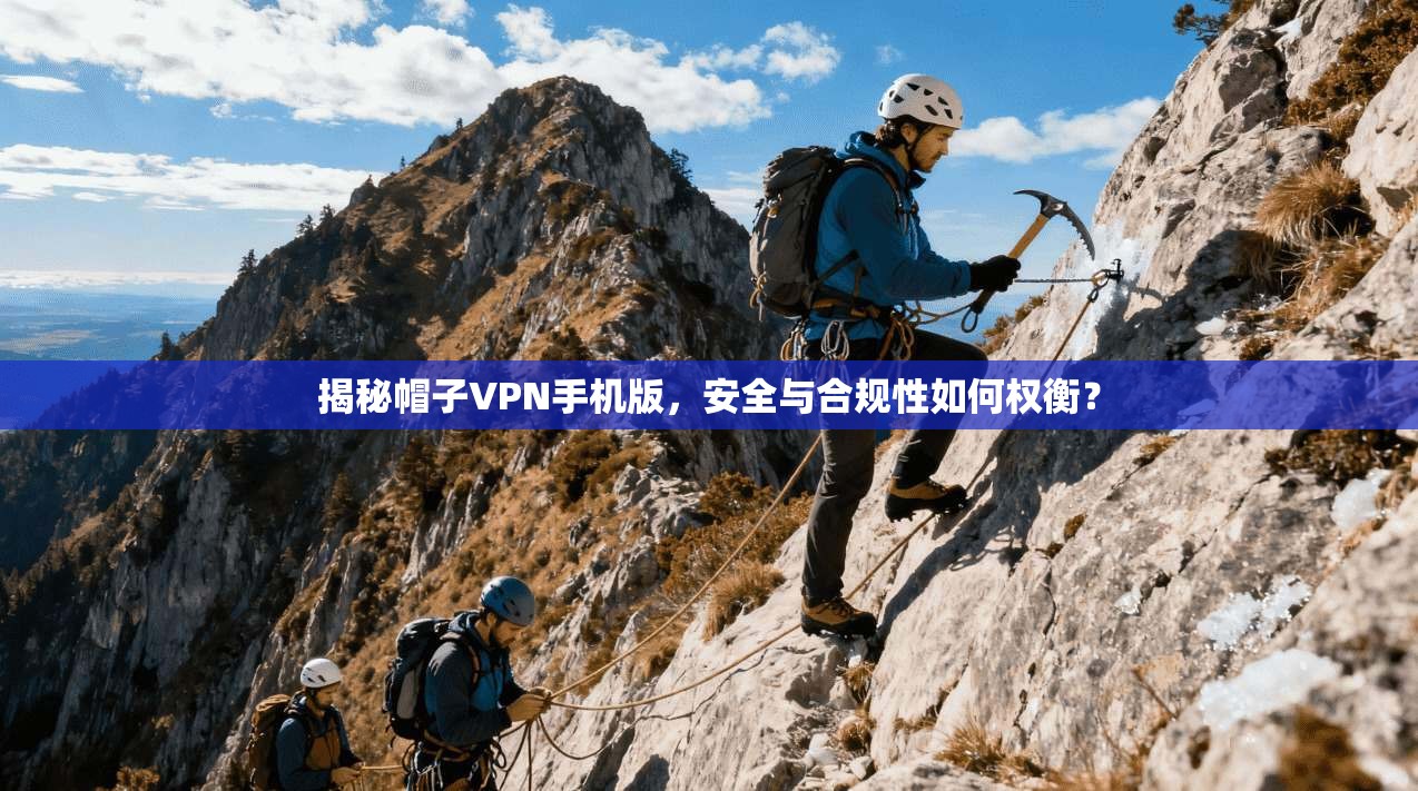 揭秘帽子VPN手机版,安全与合规性如何权衡?