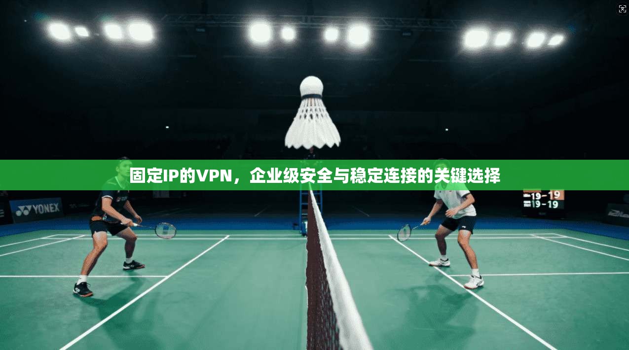固定IP的VPN，企业级安全与稳定连接的关键选择