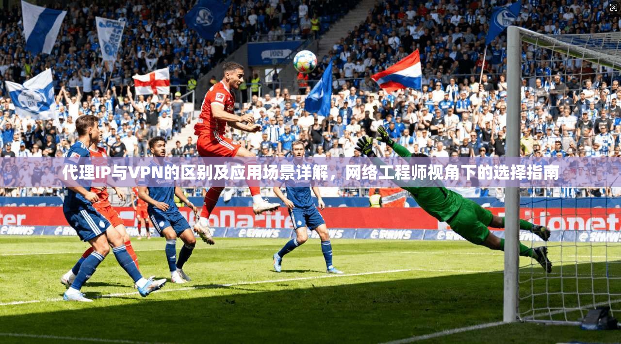 代理IP与VPN的区别及应用场景详解，网络工程师视角下的选择指南