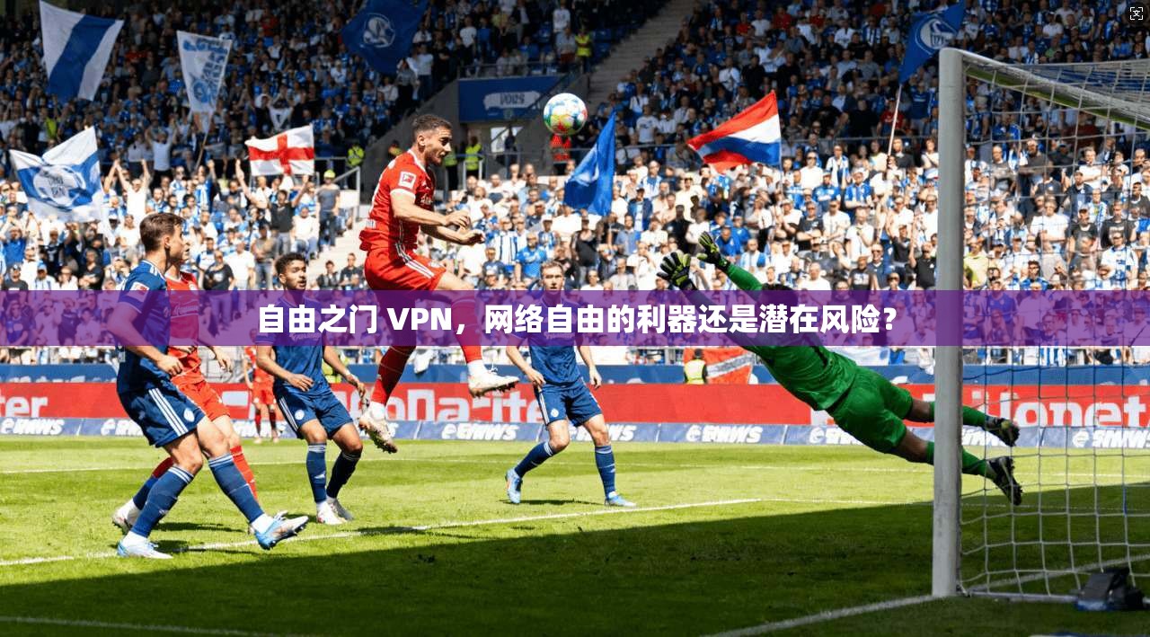 自由之门 VPN，网络自由的利器还是潜在风险？