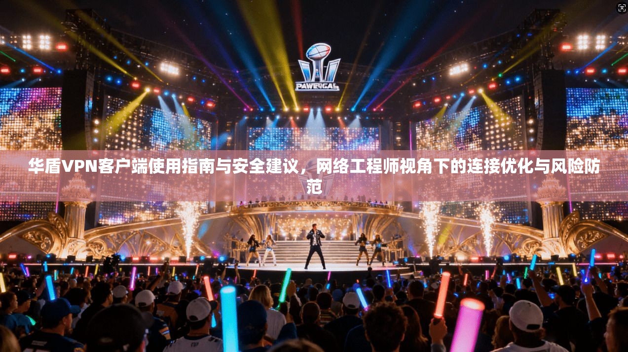 华盾VPN客户端使用指南与安全建议，网络工程师视角下的连接优化与风险防范