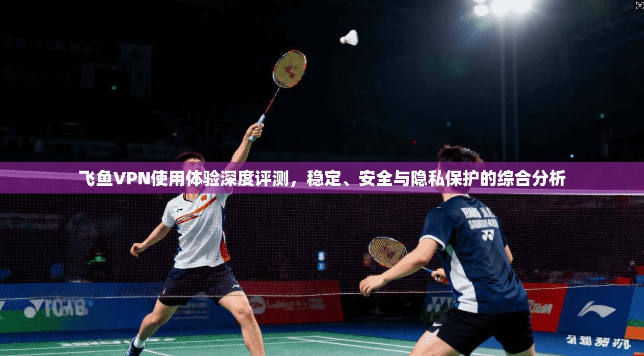 飞鱼VPN使用体验深度评测，稳定、安全与隐私保护的综合分析