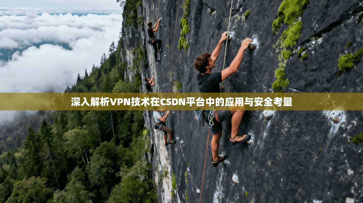 深入解析VPN技术在CSDN平台中的应用与安全考量