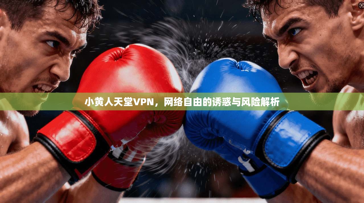 小黄人天堂VPN，网络自由的诱惑与风险解析