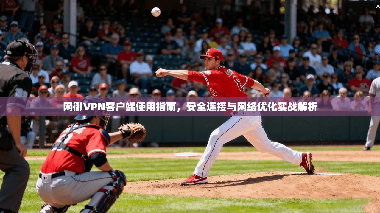 网御VPN客户端使用指南，安全连接与网络优化实战解析