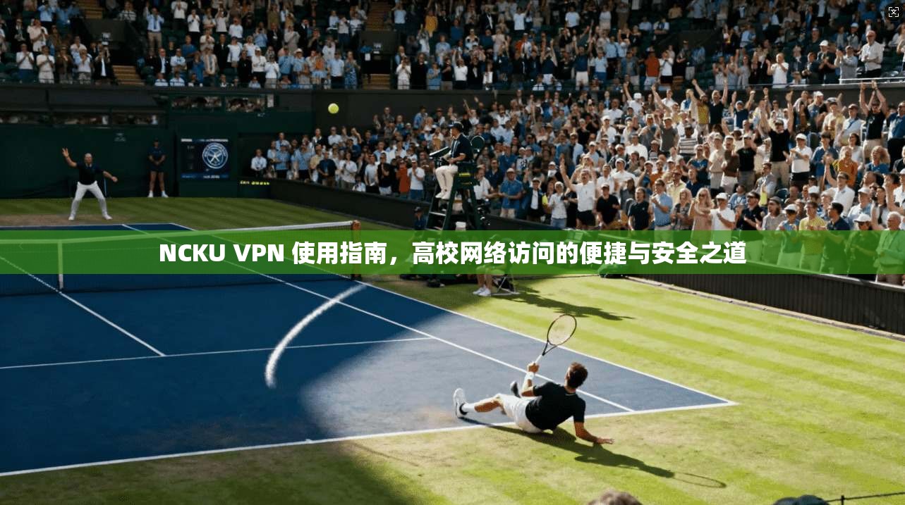 NCKU VPN 使用指南，高校网络访问的便捷与安全之道