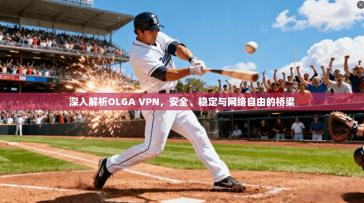 深入解析OLGA VPN，安全、稳定与网络自由的桥梁