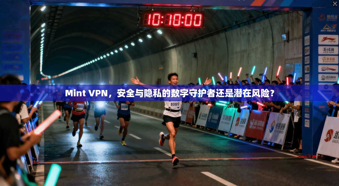 Mint VPN，安全与隐私的数字守护者还是潜在风险？