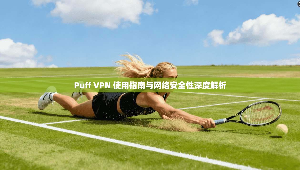 Puff VPN 使用指南与网络安全性深度解析