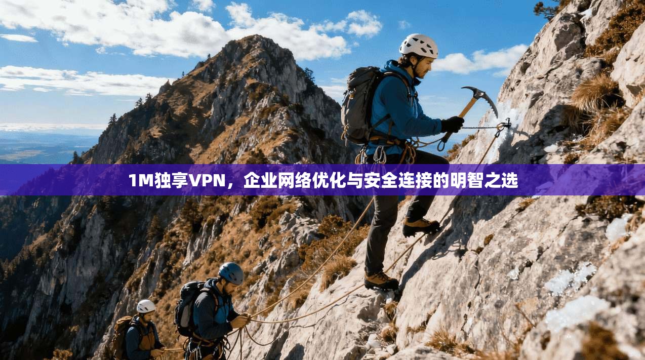 1M独享VPN，企业网络优化与安全连接的明智之选