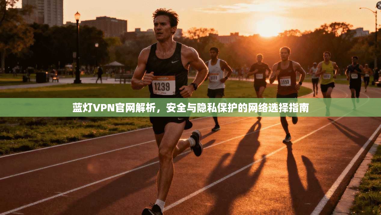 蓝灯VPN官网解析，安全与隐私保护的网络选择指南