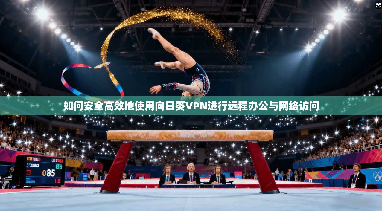 如何安全高效地使用向日葵VPN进行远程办公与网络访问
