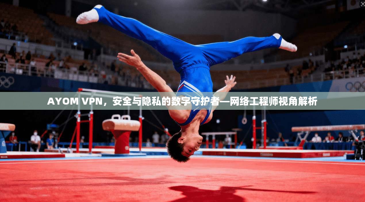 AYOM VPN，安全与隐私的数字守护者—网络工程师视角解析
