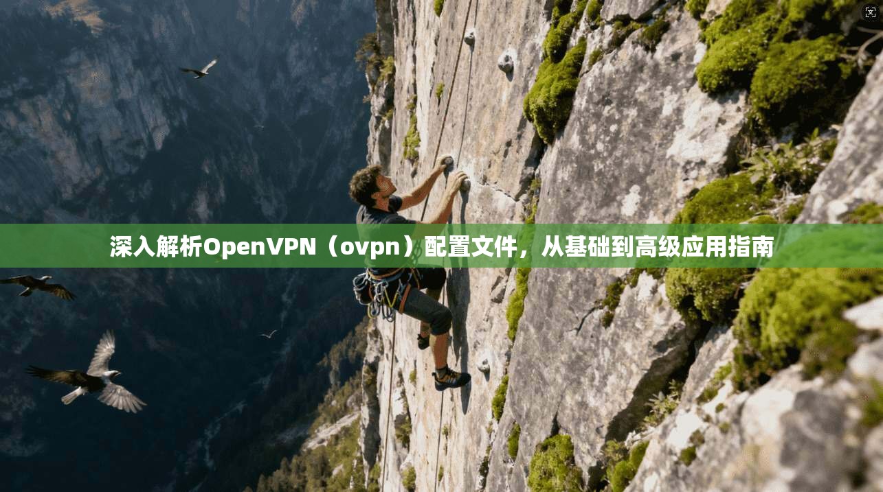 深入解析OpenVPN（ovpn）配置文件，从基础到高级应用指南