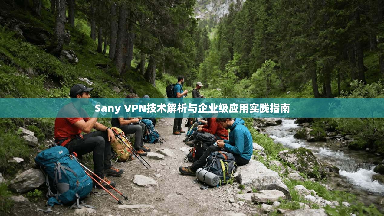 Sany VPN技术解析与企业级应用实践指南
