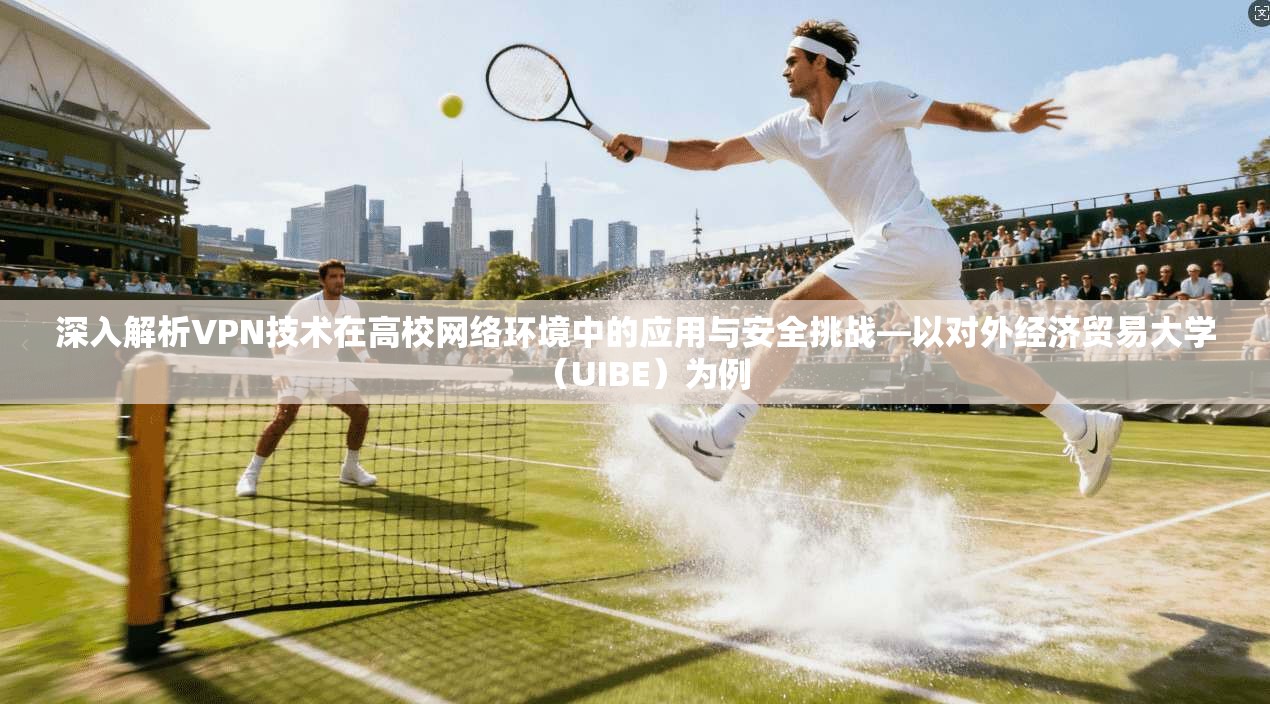 深入解析VPN技术在高校网络环境中的应用与安全挑战—以对外经济贸易大学（UIBE）为例