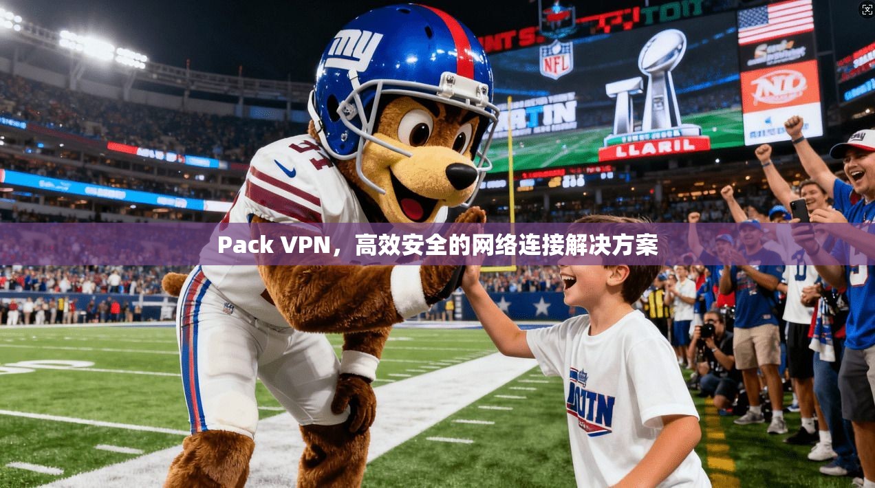 Pack VPN，高效安全的网络连接解决方案