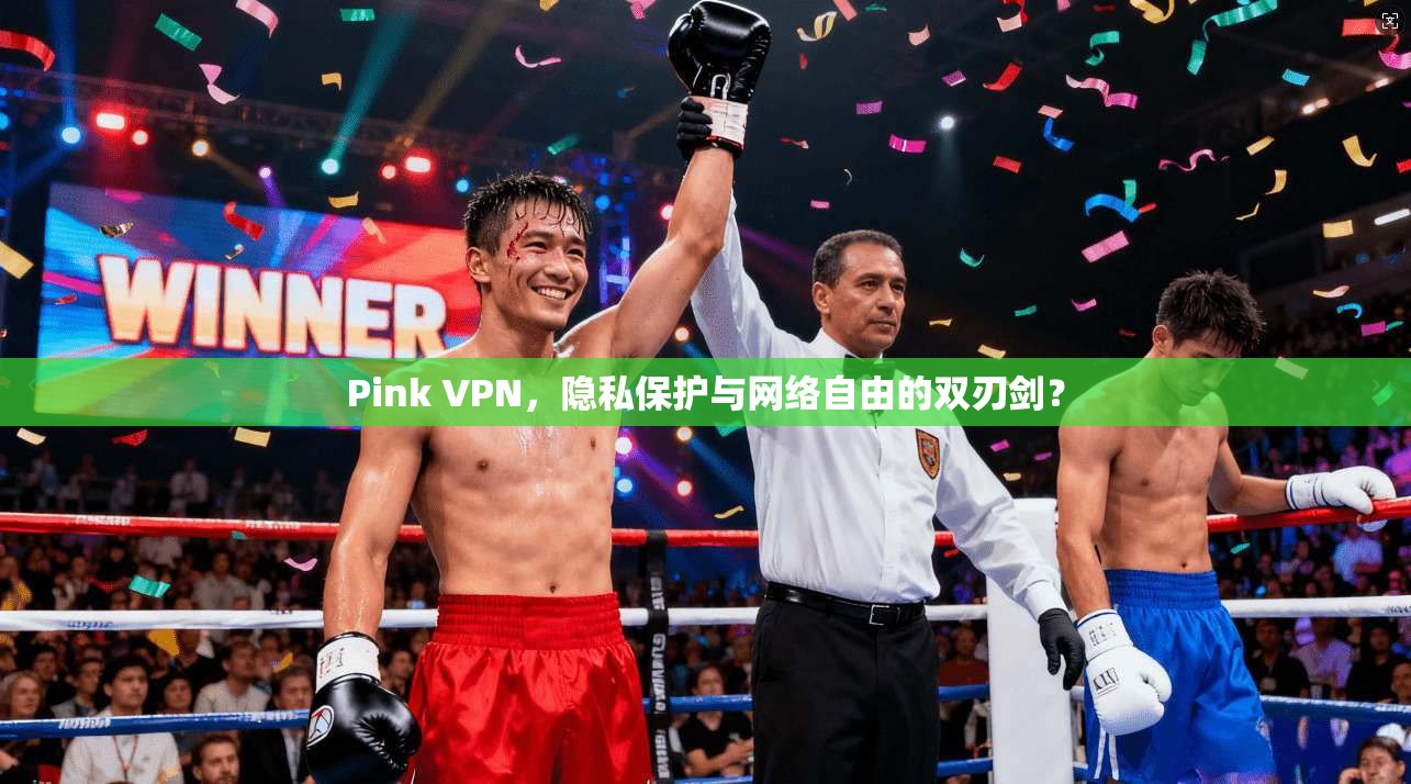 Pink VPN，隐私保护与网络自由的双刃剑？