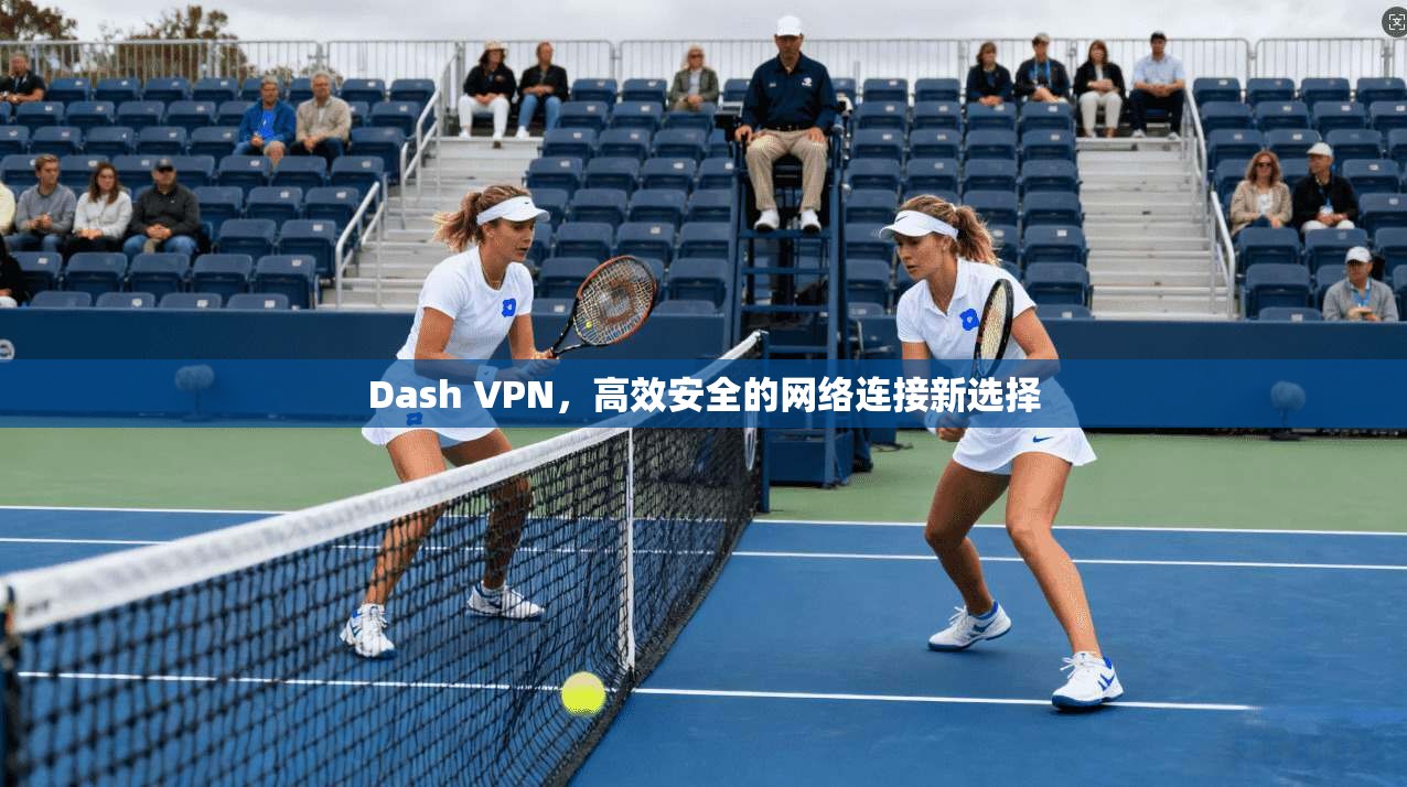 Dash VPN，高效安全的网络连接新选择