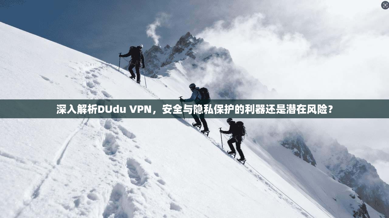 深入解析DUdu VPN，安全与隐私保护的利器还是潜在风险？