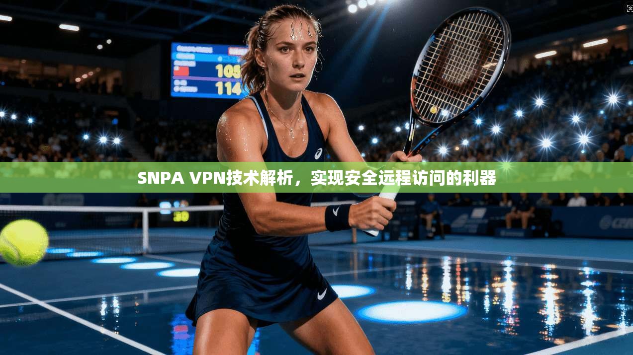SNPA VPN技术解析，实现安全远程访问的利器