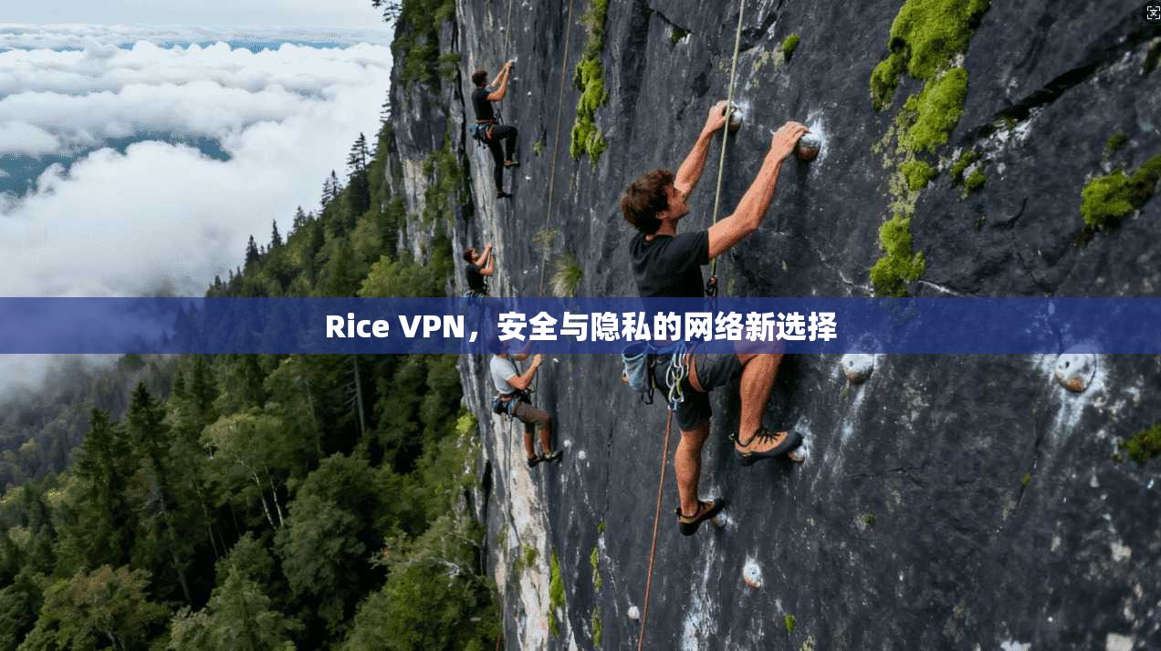 Rice VPN，安全与隐私的网络新选择