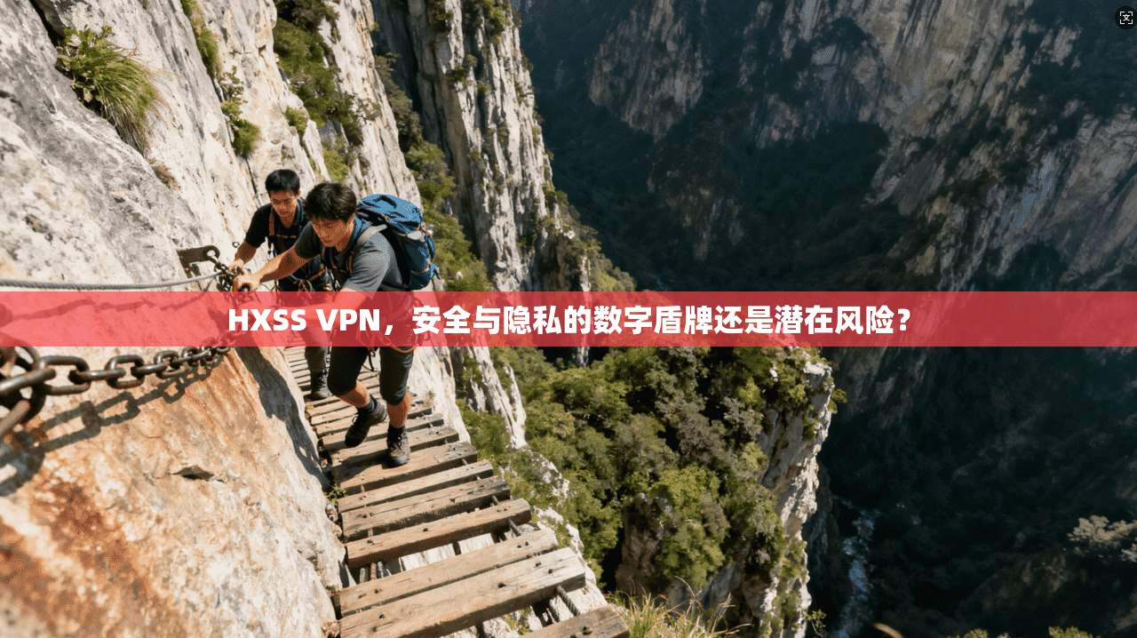 HXSS VPN，安全与隐私的数字盾牌还是潜在风险？
